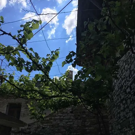 Niku Gjirokastër