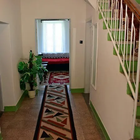 Niku * Gjirokastër