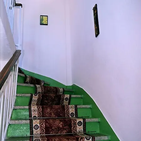 Niku * Gjirokastër